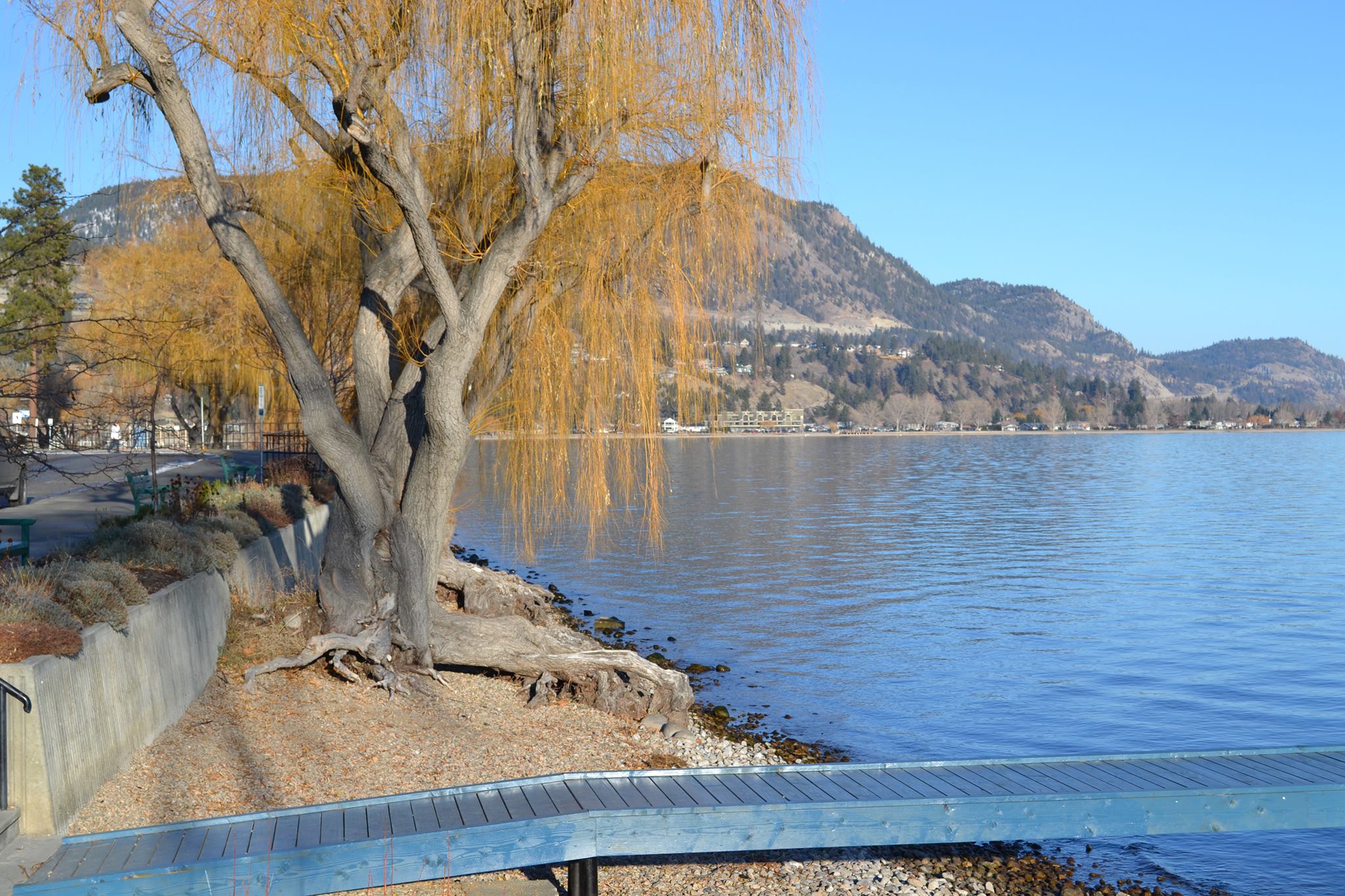 Okanagan Lake Winter Day