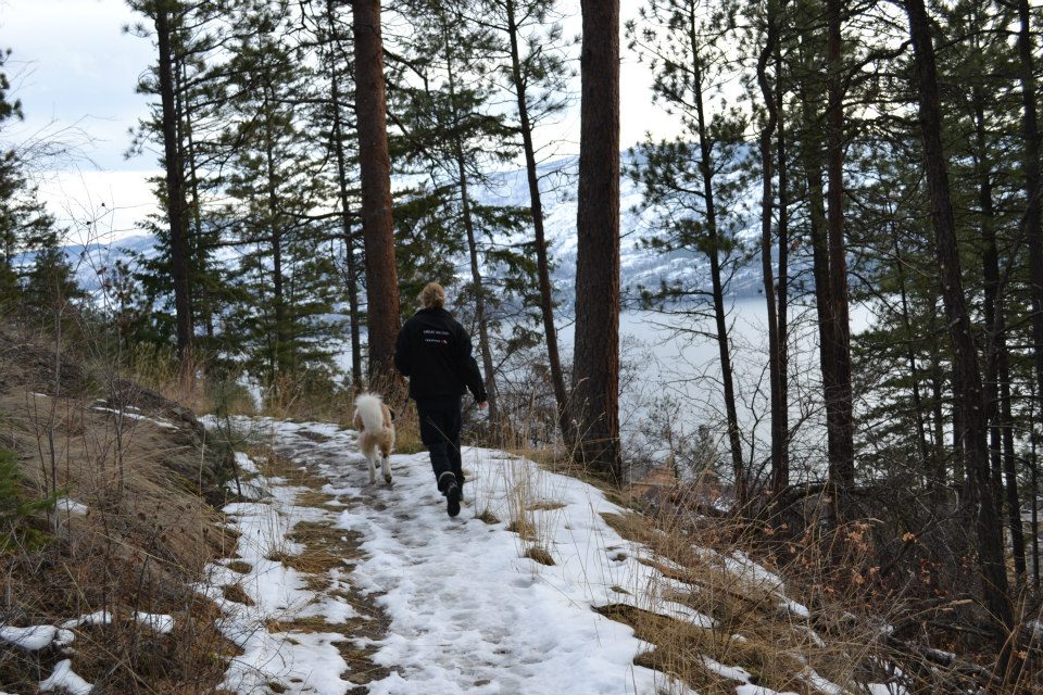 Scenic Walk View of Okanagan Lake